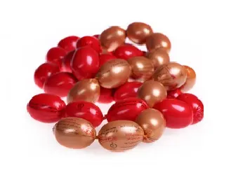 سوسیس کوکتل توژی